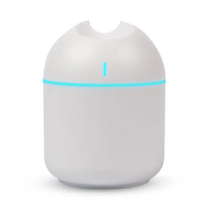 Mini Ultrasonic Humidifier Essential Oil Diffuser LED Light USB 250ml Mist Maker Car Air Freshener