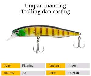 Minnow floating / umpan mancing casting dan trolling 10 cm / 15 gr