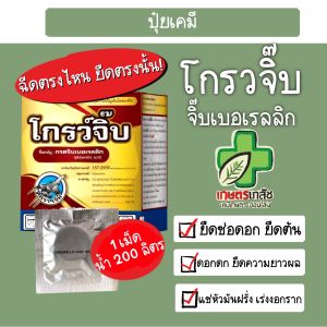 กรดจิ๊บเบอเลริก จิ๊บเม็ด ยือ ช่อ ดอก ผล ใหญ่ยาว (1 เม็ด)