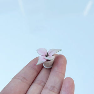 【Clementty】 2PCS 1:12 Dollhouse Furniture Accessories Scenery Decoration Mini Plants Small Flower Pots Interior Decoration Clay