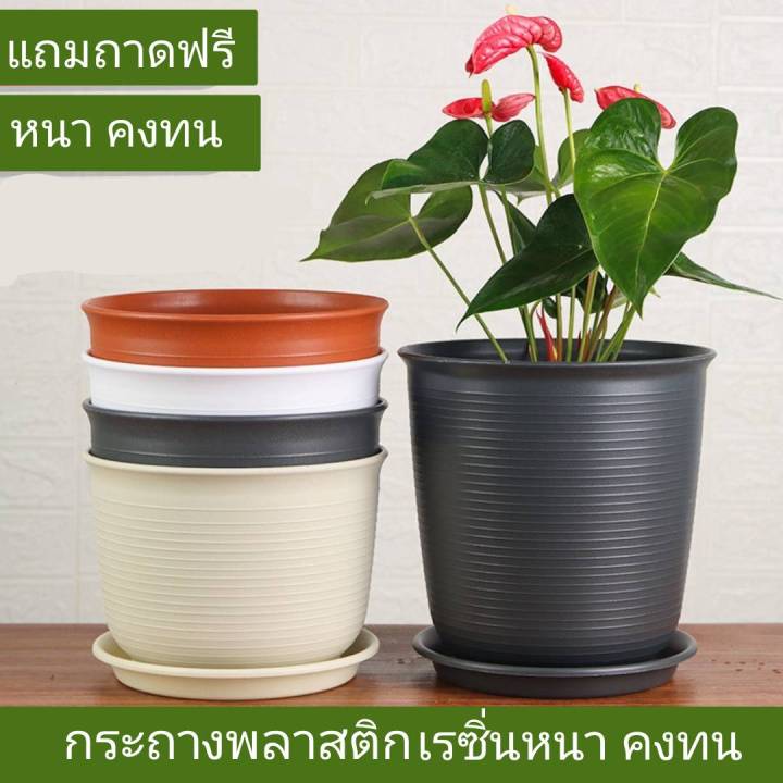 กระถางพลาสติกโมเดิร์น TCยาว พร้อมจานรอง สีเทา