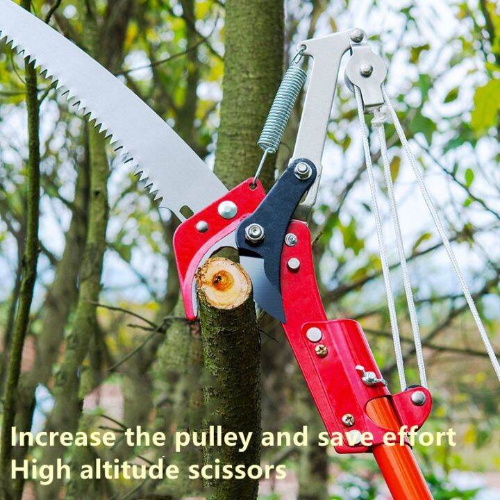 Cyclone deals tree pruner