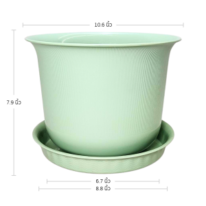 กระถาง กระถางต้นไม้ มินิมอล ถ้วยจีน+จาน ขนาด 11 นิ้ว สีเขียวพาสเทล 10 ใบ ชิ้น อัน