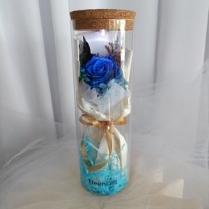 Romantic Couple Surprise Gift Birthday Anniversary Valentine Preserved Flower Glass Dome Tteen Gift