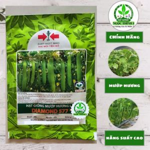 Hạt Giống Mướp Hương Lai F1 Diamond 577 HAI MŨI TÊN ĐỎ (Gói 10gr) - Date mới