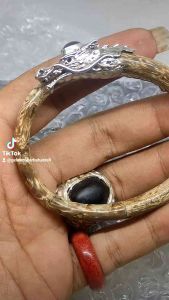 GELANG AKAR BAHAR GUNDI LORENG VARIASI NAGA BERMAHKOTA FOSIL KELOR