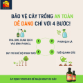 Ngăn Nấm Hại Cây, Bảo Vệ Lá Khỏe 100% Hữu Cơ | Sả & Vỏ Cam | SunLeaf. 