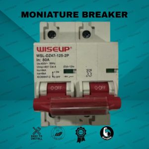 Durable Electrical Circuit Breaker WSL-DZ47-125-2P 2P 80A–120A for Main Distribution Panels