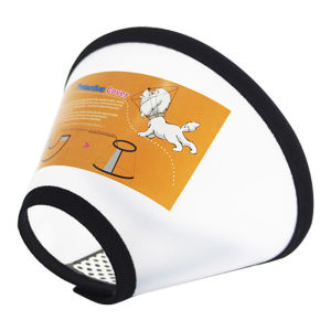 ปลอกคอกันเลีย ลำโพงกันเลีย คอลล่ากันเลีย คอลล่าสุนัข คอลล่าแมว ลำโพงหมา คอลล่าหมา ปลอกคอกันเลียสุนัข