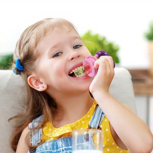 Empeng Buah Bayi Dot Buah Bayi Anak Fruit Feeder