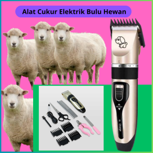 MEGA mesin Alat Cukur Elektrik Bulu Hewan domba kucing Anjing tanpa kabel cas super tajam YIWU - P2