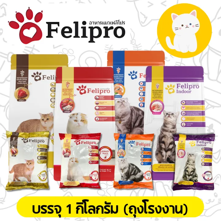 Felipro เฟลิโปร อาหารแมวป้องกันนิ่ว บำรุงขน 1 กก. มี 4 สูตร