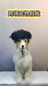 Pet wigs dog wigs cross-bordersupplies Halloweenaccessories curly and straight hair cat wigs