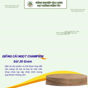 GÓI 20 GRAM - HẠT GIỐNG CẢI NGỌT CHAMPION HAI MŨI TÊN ĐỎ - LÁ BÓNG MƯỢT