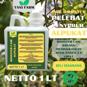 Pupuk Semprot Pelebat Buah ALPUKAT Pupuk Pelebat Buah ALPUKAT Pupuk Penyubur Buah ALPUKAT ZPT