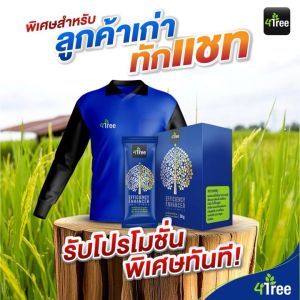 ✅ส่งไวมาก🇹🇭 โฟร์ทรี 10 ซอง ชุดสุดคุ้ม แถมเสื้อ 1 ตัว ส่งฟรี มีเก็บเงินปลายทาง