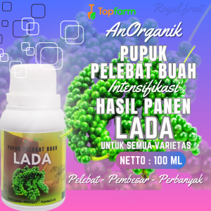 Pupuk Pelebat Buah Lada / Pupuk Untuk Buah Lebat / Pupuk Cair Untuk Tanaman Lada / Pupuk Booster Lada / Pupuk Khusus Lada / Pupuk Tanaman Lada Merica