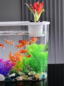 Desktop Ornamental Fish Tank Household Small Internet Celebrity Living Room Special Light Luxury Fish Globe Lazy New Ecological Turtle