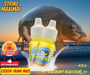 Essen Ikan Mas Paling Ampuh Gacor STRIKE MAXIMAL