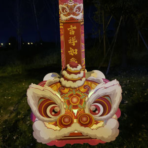 CNY trang trí tự làm handmade đèn lồng trẻ em cầm tay hoa dạ quang đèn lồng truyền thống