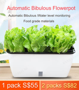 huowa Automatic Bibulous Vegetable Pot