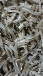 Teri Jengki Belah Murah: Makanan Diet Rendah Kalori