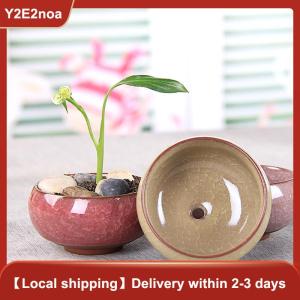 【Y2E2noa】 Cute Ice-Crack Glaze Flower s Succulent Planter Mini Plant Pot Home Decor