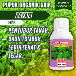 Pupuk Bayam Pelebat Dan Penyubur Daun Bayam Percepat Masa Tumbuh Organik By Jagotani Yogyakarta