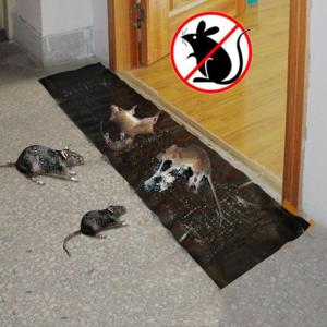 Top Seller STICKY MOUSE TRAP | Large Size Mouse Sticker | Super Sticky Glue Mat Trap | Super Glue Rat Killing Magic Blanket | Non Toxic Mouse Traps |