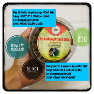 Có quà kèm theo  cam kết chính hãng Nụ đuổi muỗi Thảo Dược Nụ Bồ kết Xông nhà