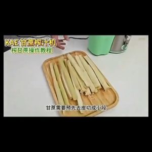 Electric Juicer Machine Centrifugal Juice Extractor Fruit Vegetable Ginger Sugarcane Celery Juicer 2 Speed