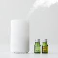 MUJI Aroma Diffuser. 