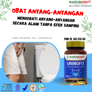 Obat Anyang Anyangan Nyeri Obat Batu Ginjal Infeksi Saluran Kemih ISK Pembersih Ginjal Urinofit