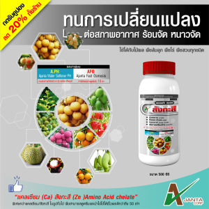 สังกะสี ปุ๋ยน้ำทางใบ แก้ปัญหาใบแก้ว ใบลาย ใบเหลือง ป้องกันต้นพืชแคระแกร็น ต้านหนาวจัด ทนร้อนจัด ขั้วเหนียว (500 ซีซี.)