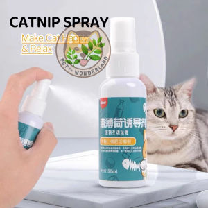 Pet Wonderland Cat Dog Catnip Spray Cat Toy Attraction Inducer Mint Scent Kitten Interactive Spray 50ml