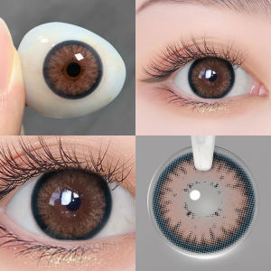 Magister Contact Lens Brown /Black Colored Lens Big Eye 14.5mm / 16mm Lens 6 Months Use 2Pcs Make up Lens No Power 0.00