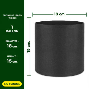 Non Woven Planting Bag Gardening Bags with handles Home gardening tools Flower Pots Fabric planters