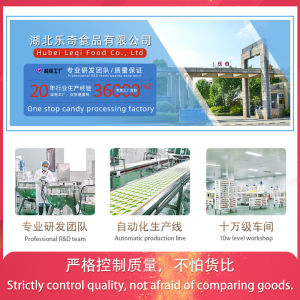 Craft Lollipop Decorated Soft Candy Animal Shape Childrens Fun Snack   Foreign Trade Cross-Border OEM  New Year Candy xpxcilkd2