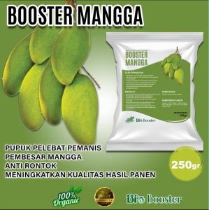 Pupuk Organik Booster Mangga 250gr pelebat pemanis pembesar buah mangga