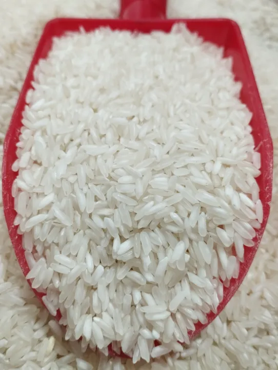 5KG Gạo 504 Nở - Gạo Nở Cơm, Rời Hạt - Bena Organic