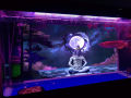 Aquarium 3d Background Sticker Fish Tank Wallpaper Decoration High-definition Shiva Series Mural Poster Supports Various Sizes And Picture Customization. 