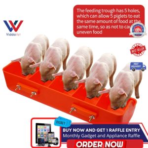 Viddavet Plastic Piglet feeder Trough Five Slots Piglet Feeding trough auto feeder for pig stainless pig sow feeder sow