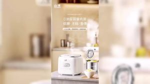 Smart Home Small Rice Cooker Non-Coating Multi-Function Stainless Steel Low Sugar Rice Cooker Non-Stick Pot