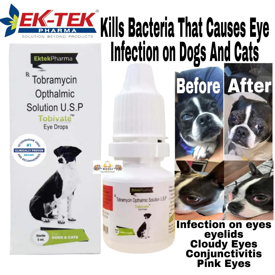 Ektek Pharma Tobivate Eye Drops For Dogs And Cats Tobramycin