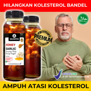 Madu kolestrol fermentasi bawang tunggal dan madu ampuh turunkan kolestrol dan darah tinggi