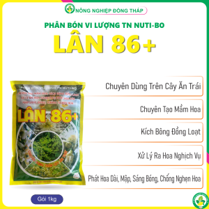 Phân Bón VL TN NUTI-BO LÂN 86+ Chuyên Dùng Trên Cây Ăn Trái – Chuyên Tạo Mầm Hoa Kích Bông Đồng Loạt Xử Lý Ra Hoa Nghịch Vụ Phát Hoa Dài Mập Sáng Bóng Chống Nghẹn Hoa (Gói 1kg)