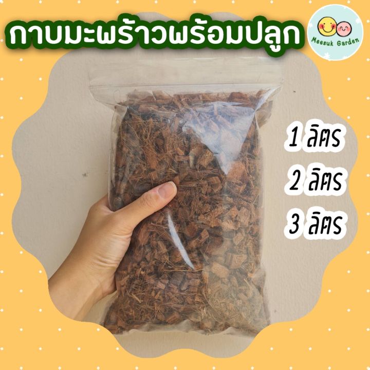 กาบมะพร้าวสับพร้อมปลูก 10 ลิตร เพิ่มความโปร่งให้ดิน