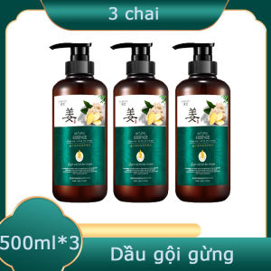 Dầu gội chống rụng tóc và tăng trưởng tóc Dầu gội gừng Dầu gội chống rụng tóc và tăng trưởng tóc 500ml Công thức gốc Nuôi dưỡng và cân bằng Sửa chữa da đầu bị hư hỏng Loại bỏ gàu