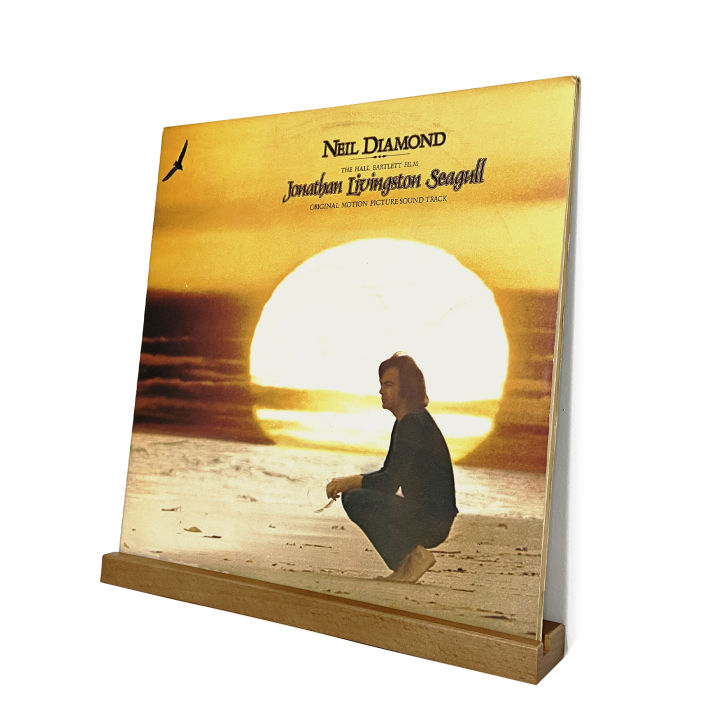 【Value Bundle】 Fashion Wooden LP Vinyl Record Storage Frame Wall Mount ...