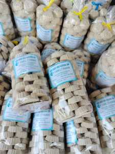 KUE SATU KACANG IJO//SAGON PANGGANG500gram//Makanan jadul//terlaris//GROSIR//TERLARIS//TERMURAH//TERBARU